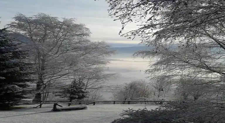 Apartment in Cavalese