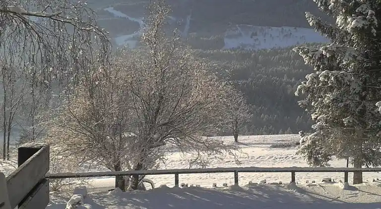 Apartment in Cavalese