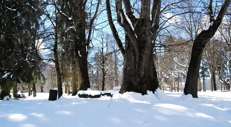 Apartment in Cavalese