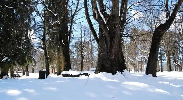 Apartment in Cavalese