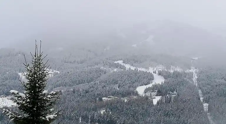 Apartment in Cavalese