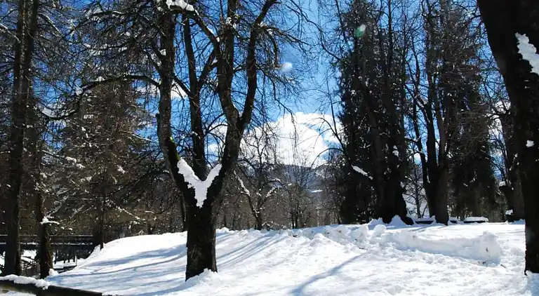 Apartment in Cavalese