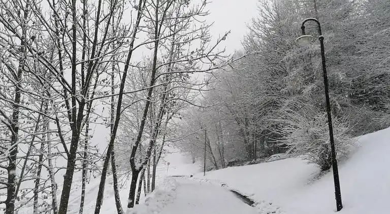 Apartment in Cavalese