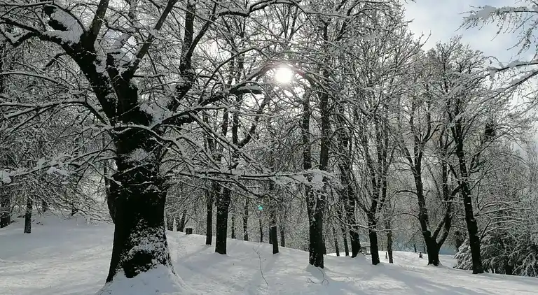 Apartment in Cavalese