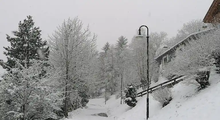 Apartment in Cavalese