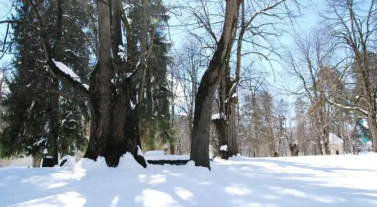 Apartment in Cavalese