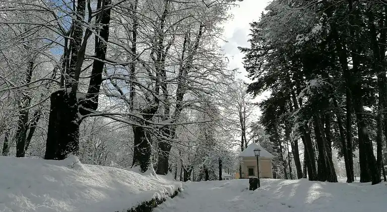 Apartment in Cavalese