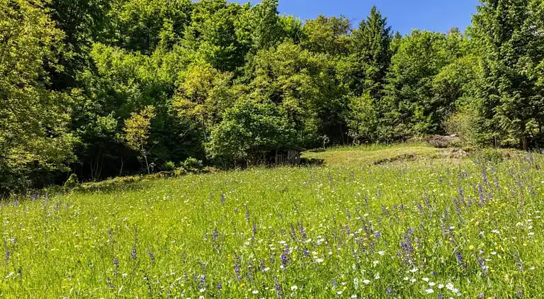 Apartment in Pisogne