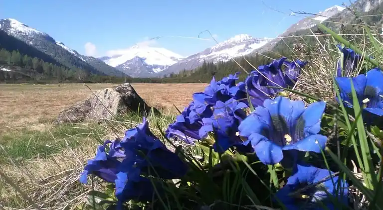 Apartment in Pisogne