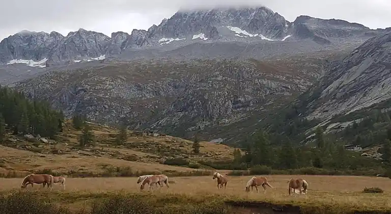 Apartment in Pisogne