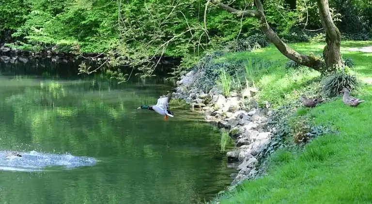 Manor house in Stagno Lombardo