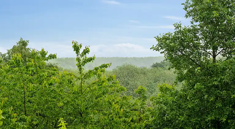 Skønt sommerhus i bynært område