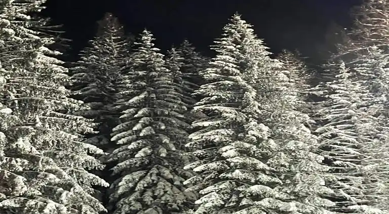 Holiday home in Gudenhagen