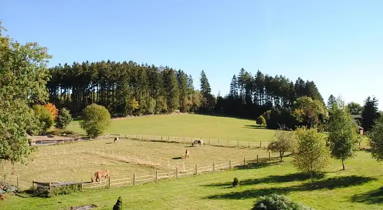 Holiday home in Gudenhagen