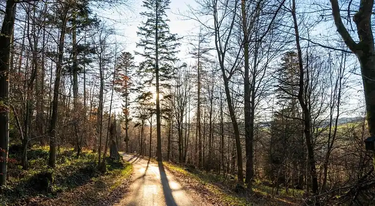 Ferielejlighed i Madfeld