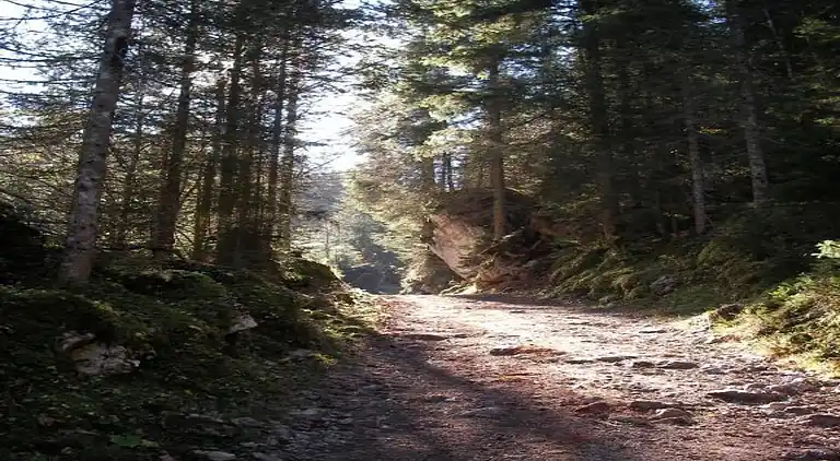 Apartment in Altenau