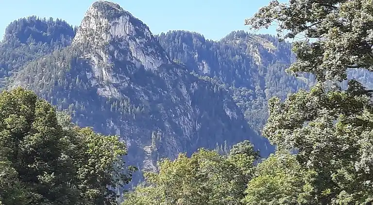 Sommerhus i Scherenau