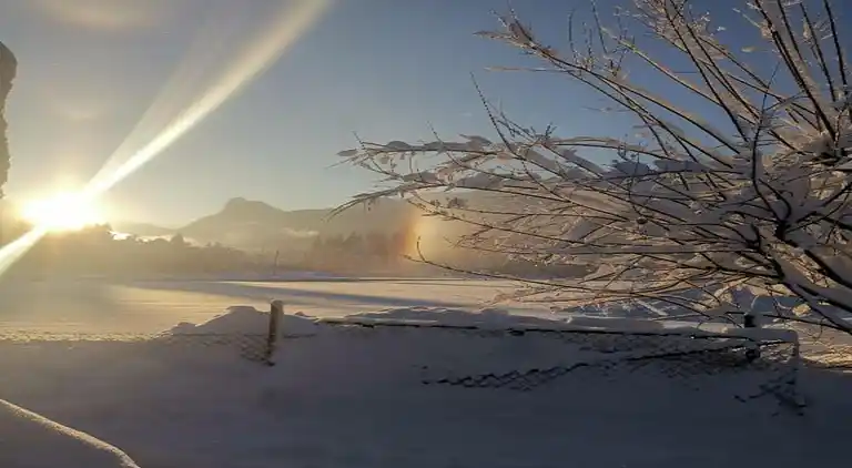 Sommerhus i Scherenau