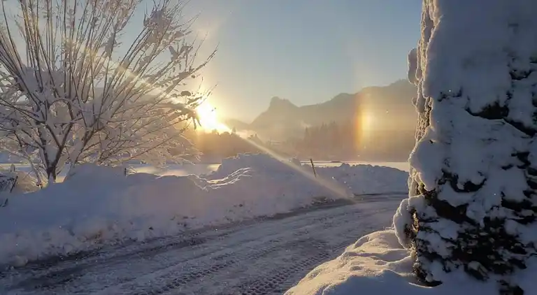 Sommerhus i Scherenau