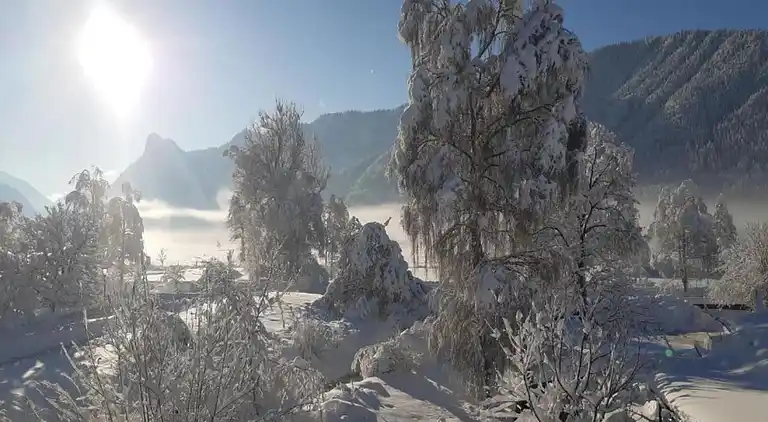 Sommerhus i Scherenau