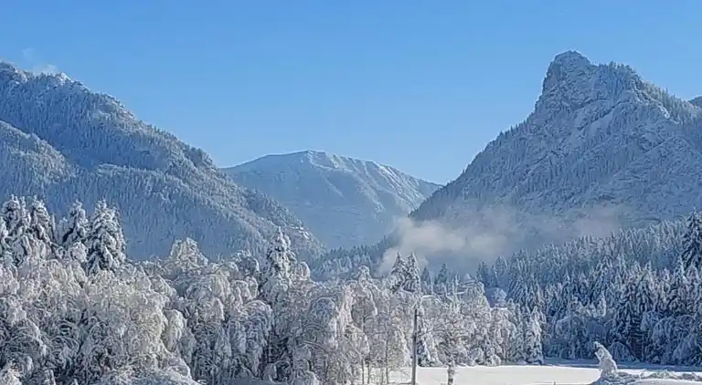 Sommerhus i Scherenau