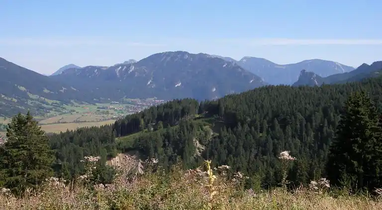 Apartment in Altenau