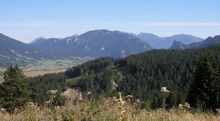 Sommerhus i Scherenau