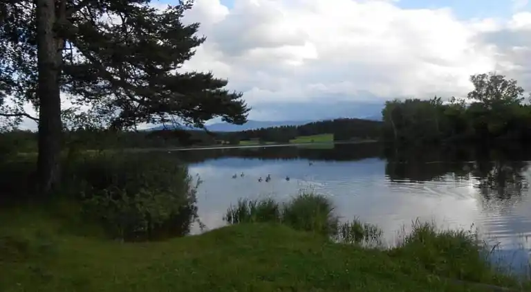 Lägenhet i Ingenried