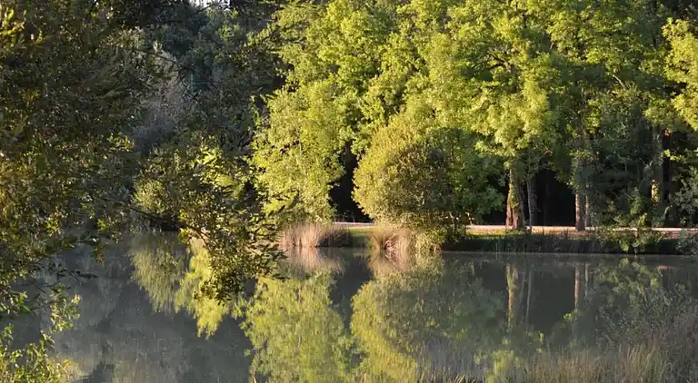 Holiday home in Loubejac