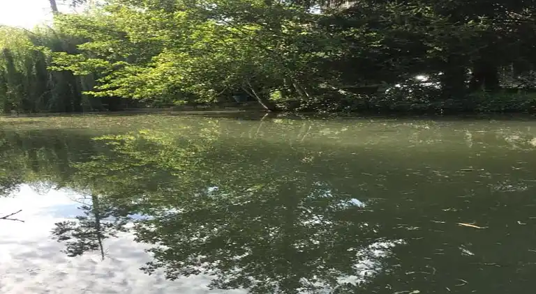 Holiday home in Loubejac