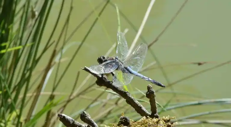 Holiday home in Loubejac