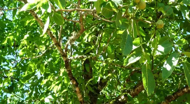 Holiday home in Sagelat