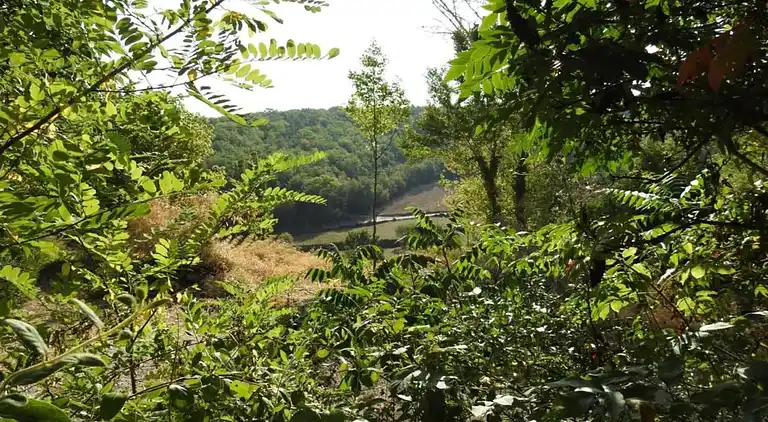 Feriebolig i Sagelat