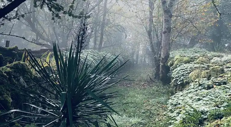 Feriebolig i Sagelat