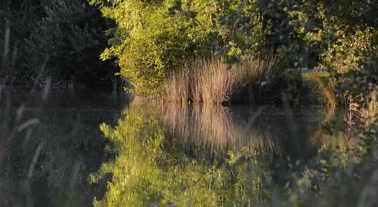Sommerhus i Loubejac