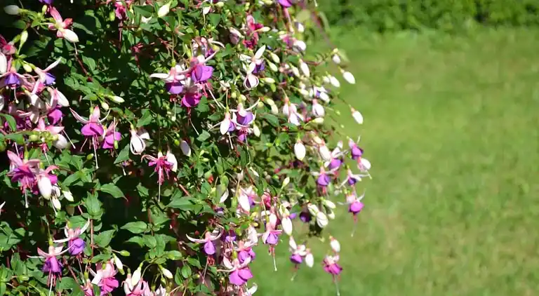 Sommerhus i Loubejac