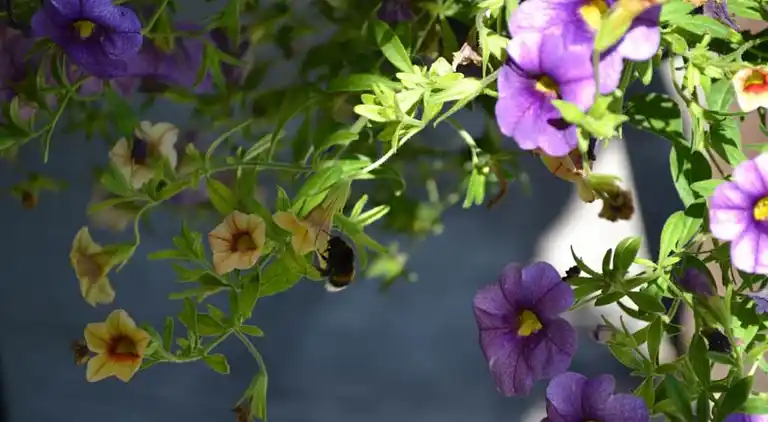 Casa de vacaciones en Loubejac