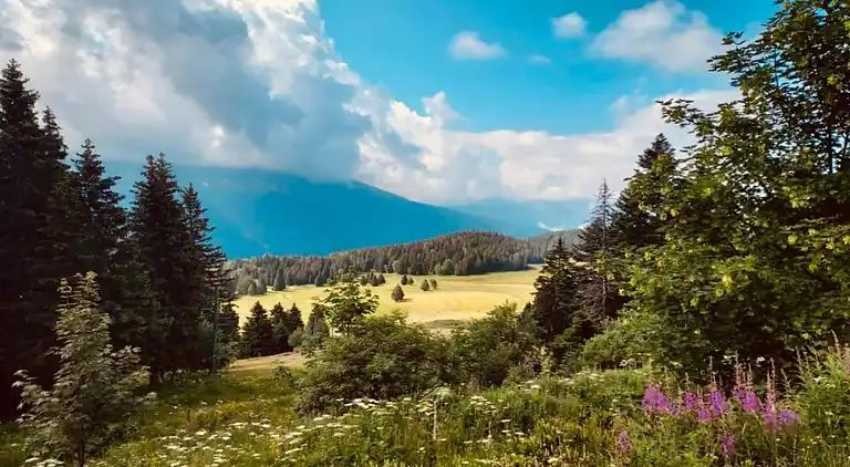 Apartment in Chamrousse