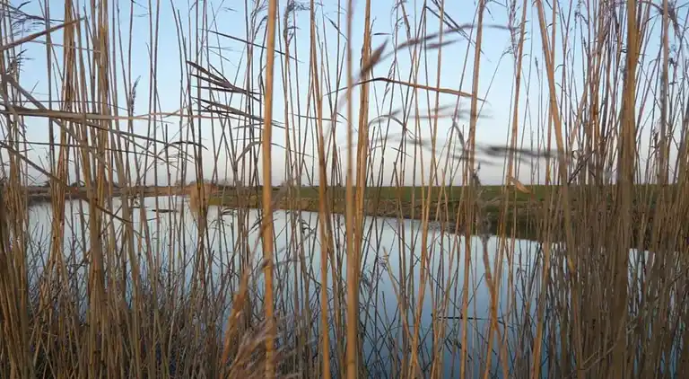 Hytte i Saint Mary in the Marsh