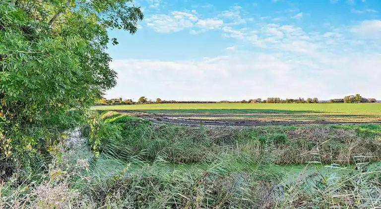 Hytte i Saint Mary in the Marsh