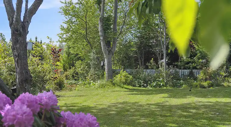 Hyggeligt sommerhus i naturskønne Rågeleje