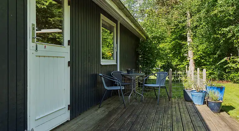 Hundevenlig ferieoase med ro og natur