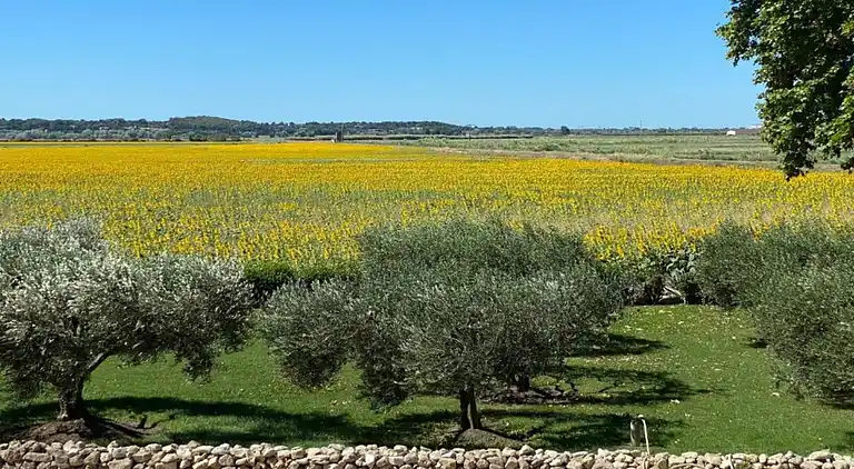 Holiday home in Vaux-Chavanne