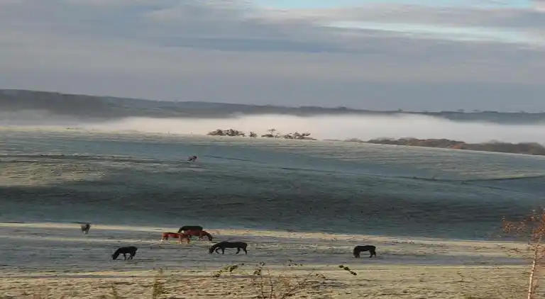 Holiday home in Sprimont