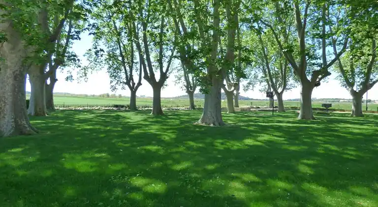 Holiday home in Vaux-Chavanne