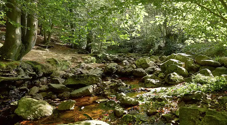 Holiday home in Sart