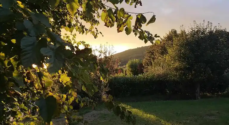 Farm house in Castiglion Fiorentino
