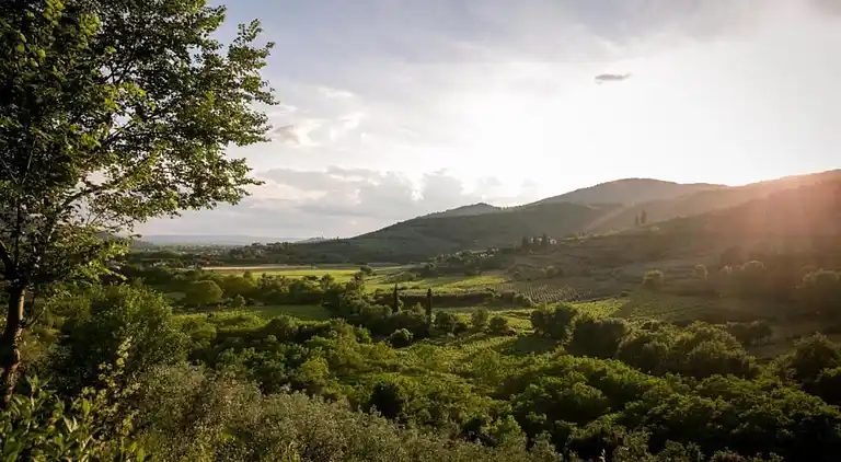 Farm house in Castiglion Fiorentino