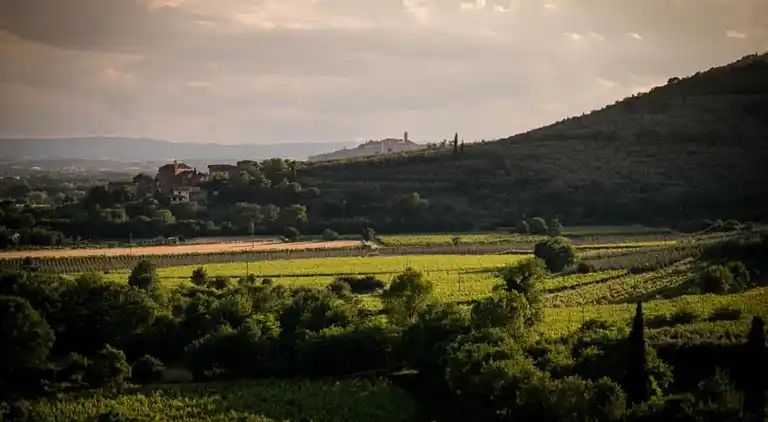 Farm house in Castiglion Fiorentino