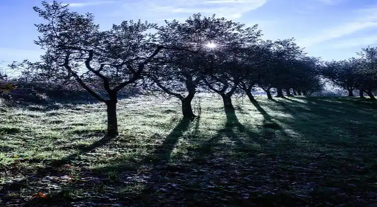 Sommerhus i Walled City